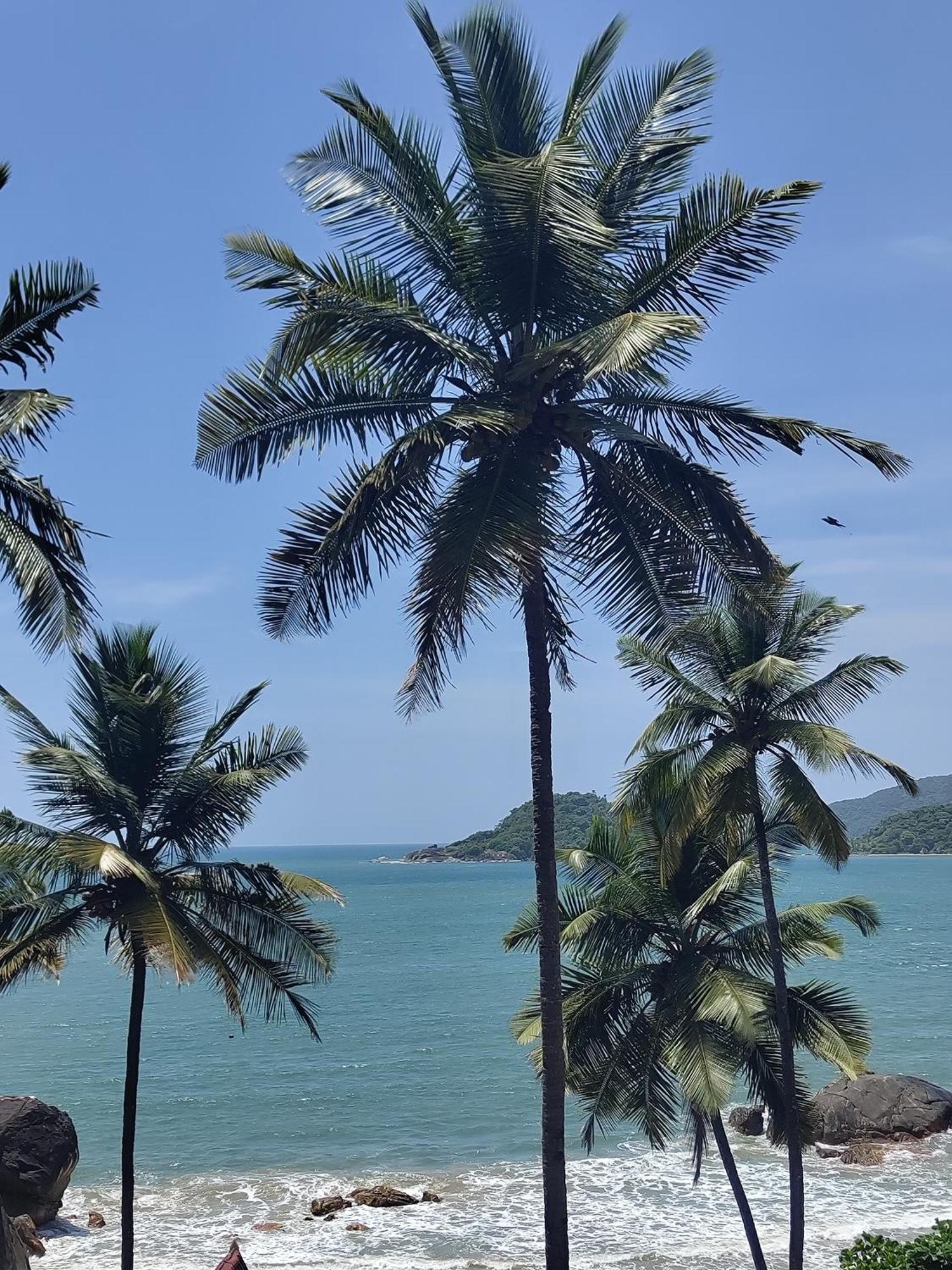 Hotel Hilltop Seaview Palolem Goa Esterno foto